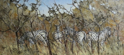 Zebra - Kruger Park | 2019 | Oil on Canvas | 38 X 71 cm